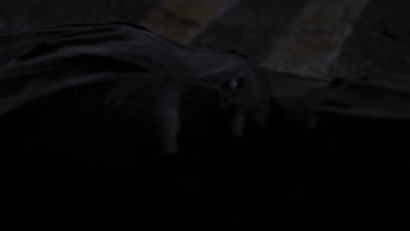 Náhled JEEPERS CREEPERS 2001 CZ DABING.mkv (8)