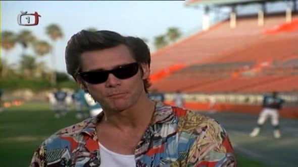 Náhled Ace Ventura - Zvířecí detektiv.avi (2)
