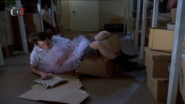 Náhled Ace Ventura - Zvířecí detektiv.avi (9)