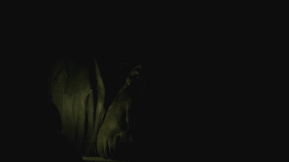 Náhled Pohřben zaživa CZ.avi (7)