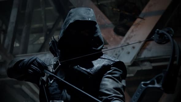 Náhled Arrow S01E09.avi (10)