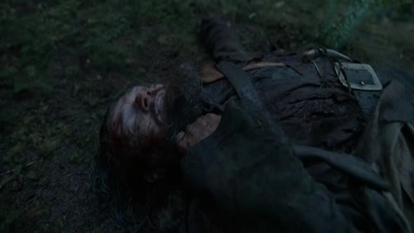 Náhled Revenant-Zmrtvýchvstání.2015.cz.avi (3)