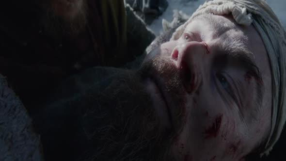 Náhled Revenant-Zmrtvýchvstání.2015.cz.avi (5)