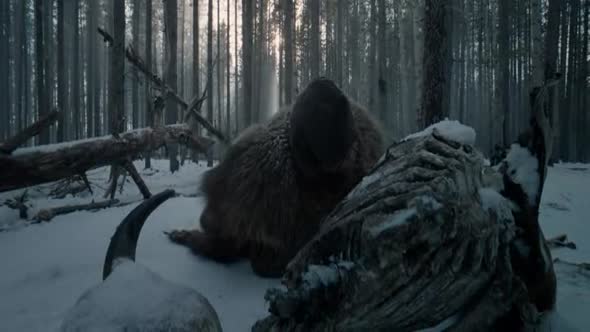Náhled Revenant-Zmrtvýchvstání.2015.cz.avi (7)
