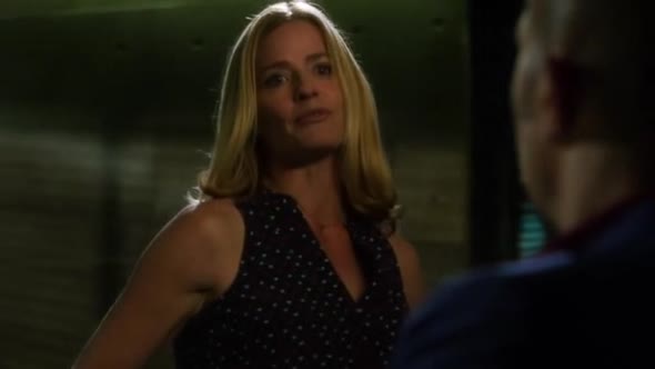 Náhled Kriminalka Las Vegas 15x08 Gumova vražda DVDRip.Xvid.CZ.avi (8)