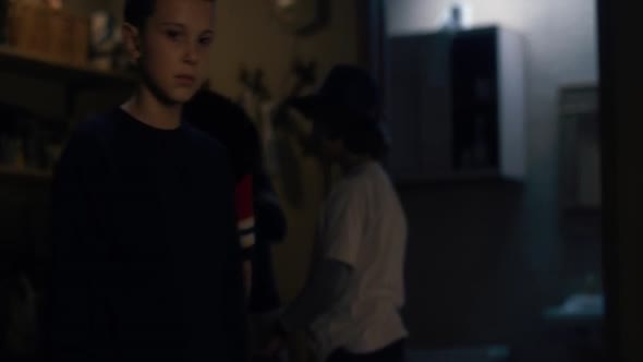 Náhled Stranger.Things.S01E02.mkv (9)