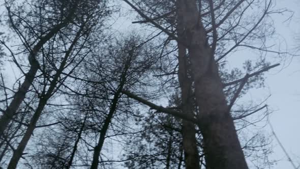 Náhled Cizinka S01E10 - Outlander - WEB-DL CZdabing.mkv (4)