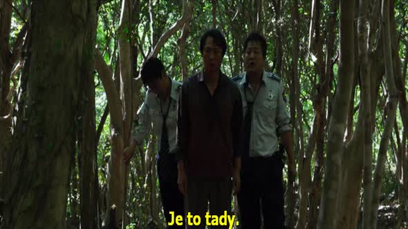 Náhled The Wailing.(Gokseong).2016.CZ titulky.BDRip.avi (3)