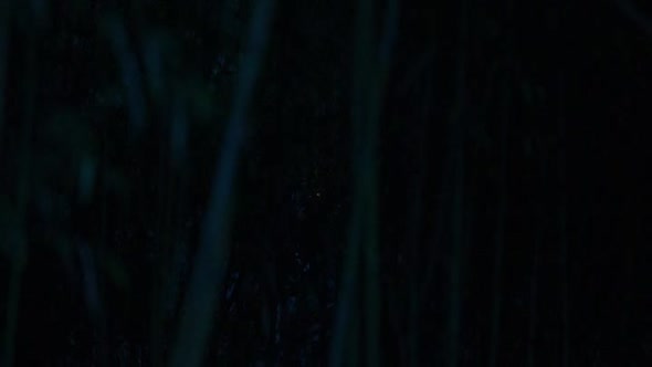 Náhled The Wailing.(Gokseong).2016.CZ titulky.BDRip.avi (10)