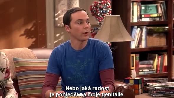 Náhled The Big Bang Theory S10E01 cz titulky.avi (5)