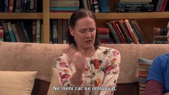 Náhled The Big Bang Theory S10E01 cz titulky.avi (6)
