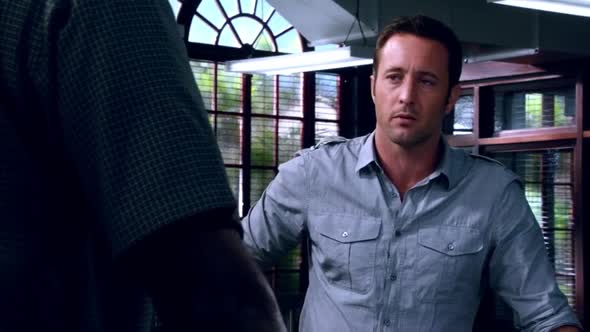 Náhled Hawaii 5-0 S05E22 - WEB-DL CZdabing.mkv (5)
