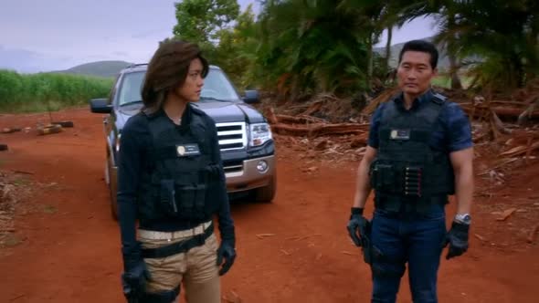 Náhled Hawaii 5-0 S05E22 - WEB-DL CZdabing.mkv (9)