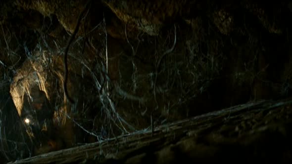 Náhled Indiana Jones a Království křišťálové lebky (2008).avi (5)