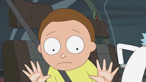 Náhled Rick.and.Morty.S02E09.HDTV.x264-BATV.mp4 (2)