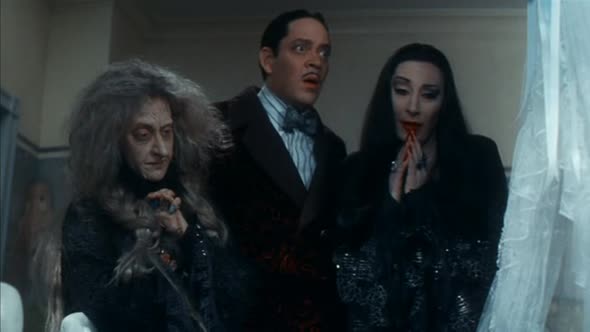 Náhled Addamsova rodina 2 - Addams Family Values (1993) CZ.avi (8)