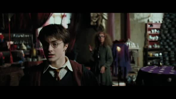 Náhled 3. Harry-Potter-a-VÄzen-z-Azkabanu.avi (7)