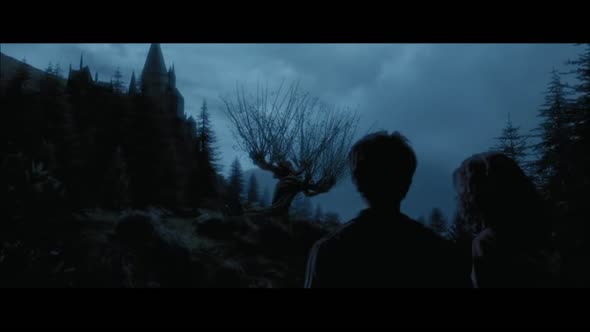 Náhled 3. Harry-Potter-a-VÄzen-z-Azkabanu.avi (10)