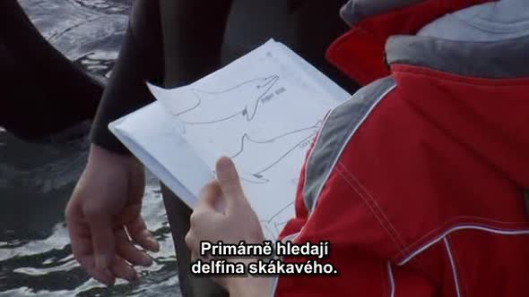 Náhled Zatoka - Cz titulky.avi (2)