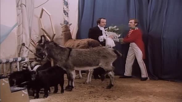 Náhled Cirkus Humberto 02 - Nabídka k sňatku.avi (4)