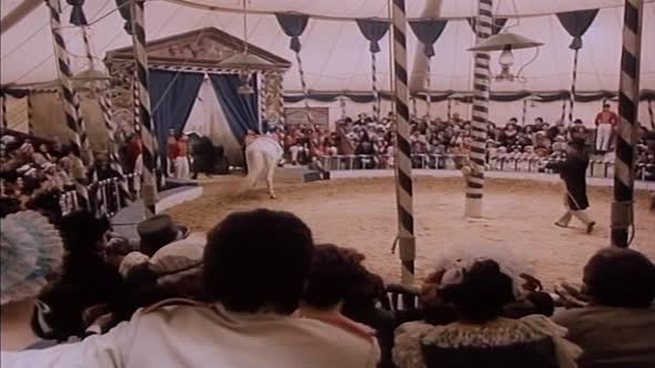 Náhled Cirkus Humberto 02 - Nabídka k sňatku.avi (10)