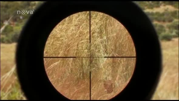 Náhled Sniper 4 akční 2011 cz..avi (9)