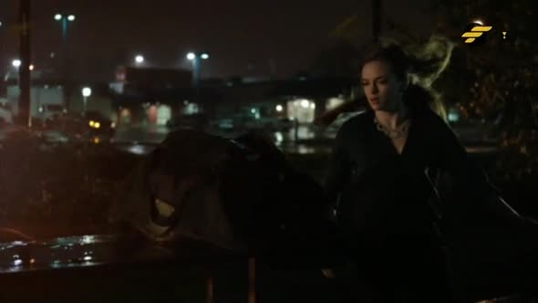 Náhled Arrow S03E08 - TVrip CZdabing.avi (10)