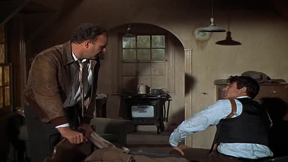 Náhled Bonnie-a-Clyde-(1967)-CZ.avi (4)