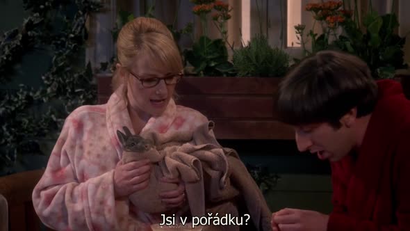 Náhled The Big Bang Theory S09E15 - CZ-Titulky 720p.avi (7)