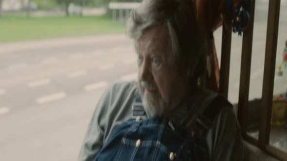 Náhled The.100.Year.Old.Man.Who.Climbed.Out.the.Window.and.Disappeared.2013.BDRip.XViD.MP3.CZ-GRiNGO.avi (10)