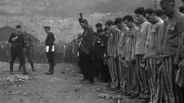 Náhled Schindlerův seznam-CZ-(Schindler's List).avi (6)