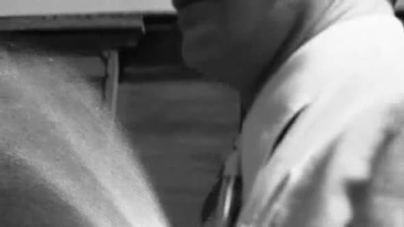 Náhled Schindlerův seznam-CZ-(Schindler's List).avi (8)