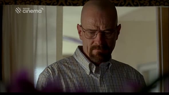 Náhled Pernikovy tata - Breaking Bad S04E09 Stenice (CZ).mp4 (1)