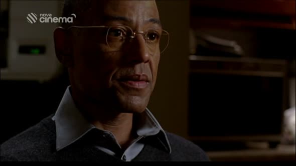 Náhled Pernikovy tata - Breaking Bad S04E09 Stenice (CZ).mp4 (9)