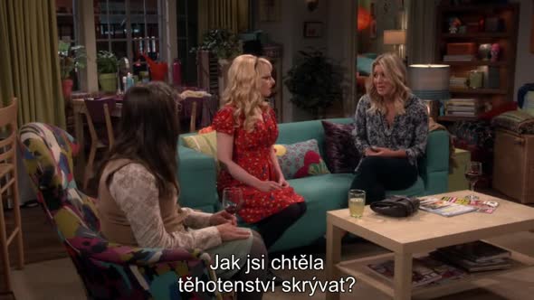 Náhled Teorie velkého třesku S10E02 CZ titulky.mp4 (3)