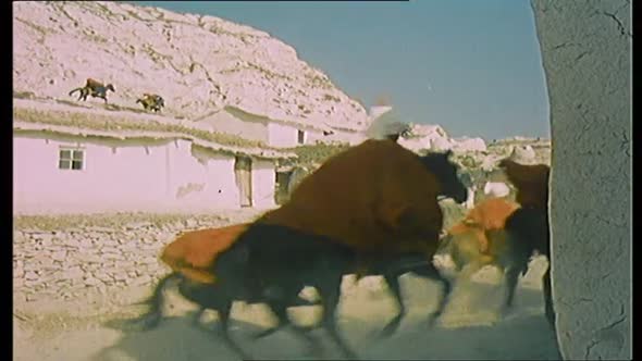 Náhled Legenda o lásce (1956).avi (7)