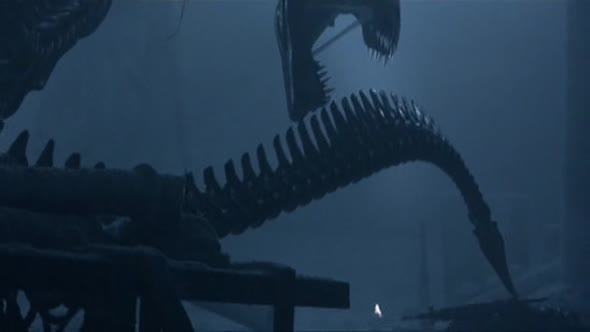 Náhled Vetrelec vs. predator 1.avi (10)