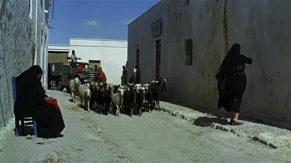 Náhled General-Patton-Patton-1080p-AC-Cz-dab-1970.mkv (1)