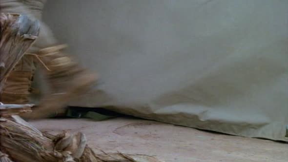 Náhled MacGyver.S01E01.DVDRip.XviD.CZ.avi (1)