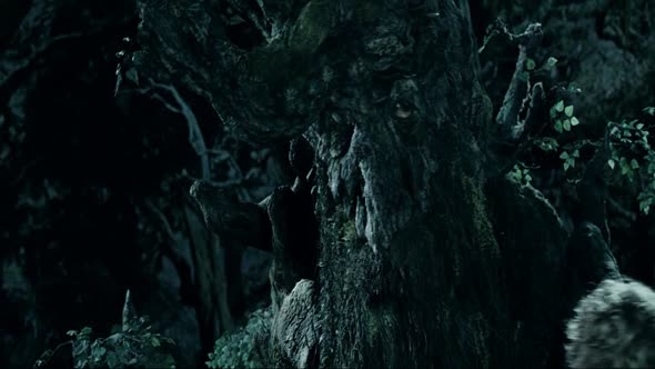 Náhled LOTR- The Two Towers (ExtEd) HD 1080P Xvid AC3.avi (2)