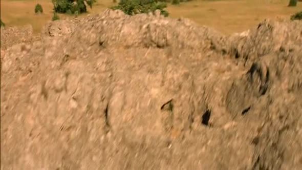 Náhled RRRrrrr!!! (FRA, 2004) (CZ dabing).avi (8)