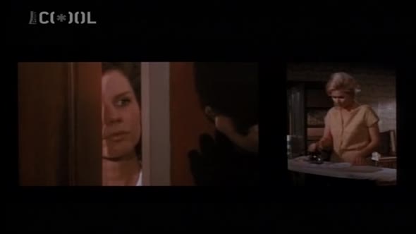 Náhled Bostonský případ (1968).avi (7)