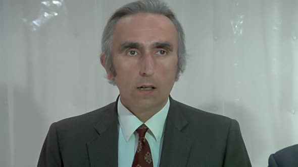 Náhled Muž z Acapulca (1973) (CZ) (Komedie, Akční, Romantický).avi (1)