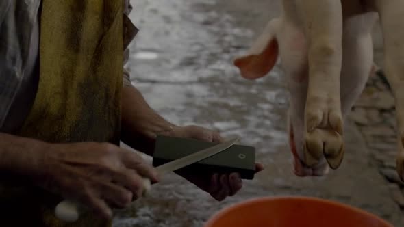 Náhled Narcos.S02E09.CZ titulky.WEB-DL.avi (7)
