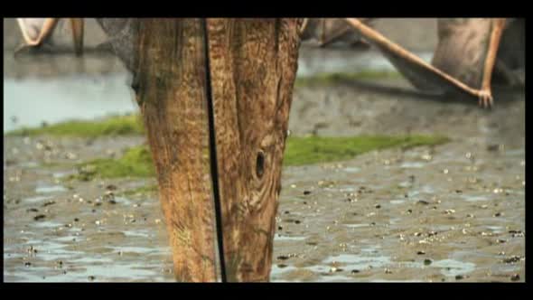 Náhled Dokument-Tarbosaurus.dvdrip-cz.avi (8)