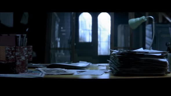 Náhled Cerveny.drak.2002.480p.DVDRip.XviD.AC3.CZ.-calibrum2.avi (4)