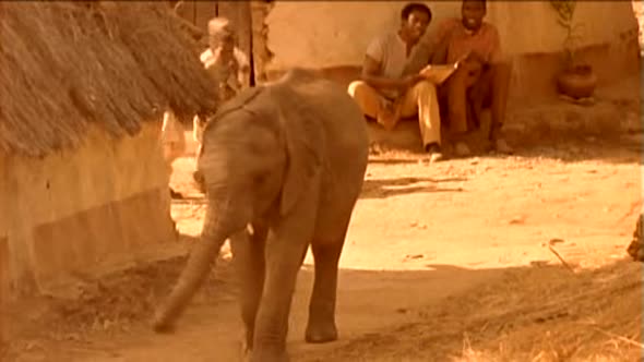 Náhled Fontána pre Zuzanu 3 (1999).avi (5)