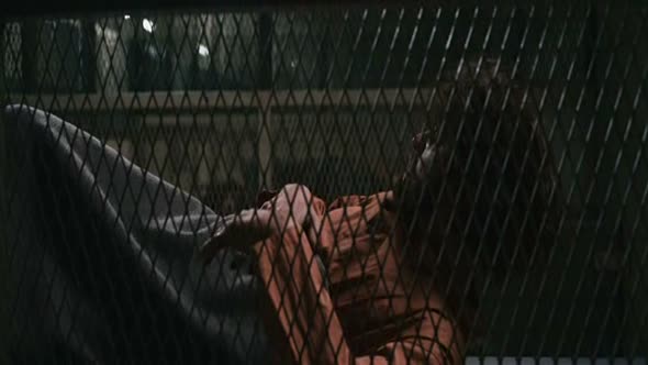 Náhled Pět let (Kurnaz - Fünf Jahre Leben - 2013) cz dabing, drama.avi (5)