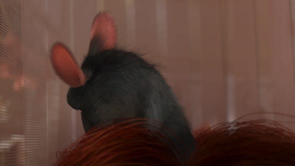 Náhled RATATOUILLE 2007 FULLHD 5.1 CZ SK EN dabing.mkv (4)