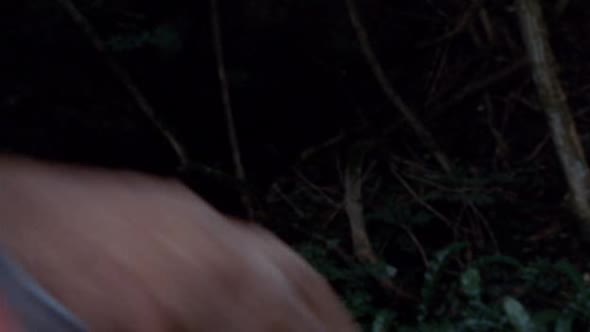 Náhled Merlin-S02E12-DVDRip-XviD-CZ.avi (3)